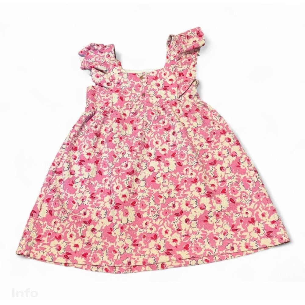Zara Girls Pink Floral Ruffle Dress Size 4-5 Years Cottagecore Spring